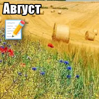 Отчет за август 2025: конец лета...